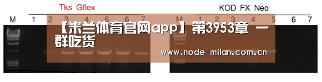 米兰体育官网入口