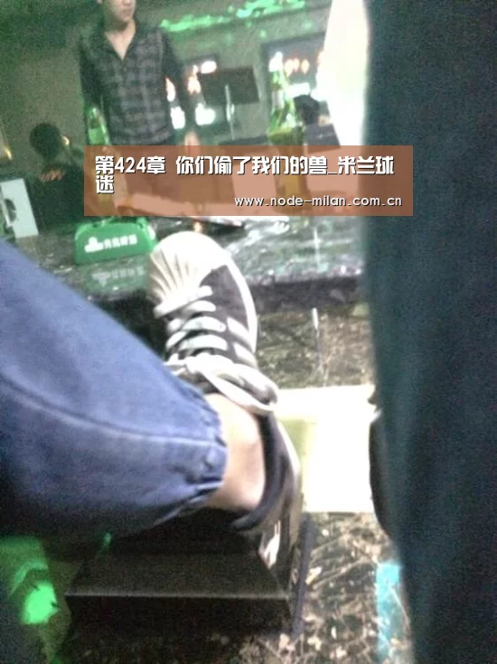 第424章 你们偷了我们的兽_米兰球迷(图1) 米兰体育官网app